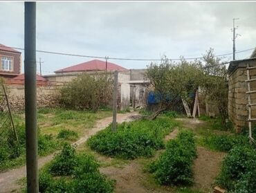 torpaq xacmaz: 4 sot, Mülkiyyətçi, Kupça (Çıxarış)