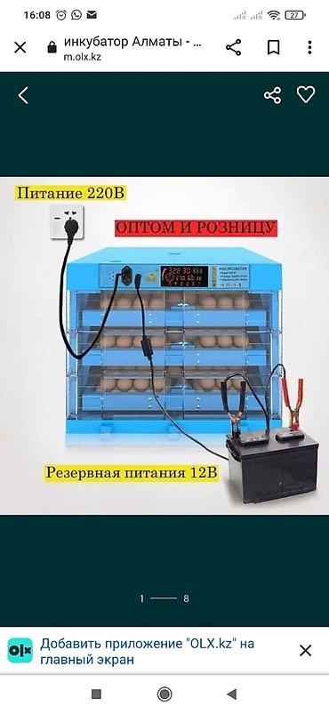 Товары и оборудование для с/х животных: Инкубаторы китайский сатылат жаңы полный автомат свет очсо 12 вольт — 1