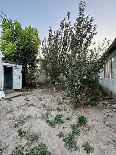 Продажа коттеджей и домов: 4 комнаты, 65 м², 5 соток, Бишкек, Аламединский рынок / базар Агентство недвижимости — 21