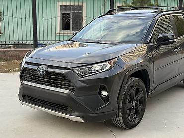 Ravon: Toyota RAV4: 2020 г., 2.5 л, Автомат, Гибрид, Седан — 7
