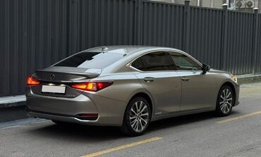 лексус новый: Lexus ES: 2020 г., 2.5 л, Вариатор, Бензин, Седан