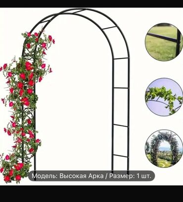 глициния купить: Беседка Металл
