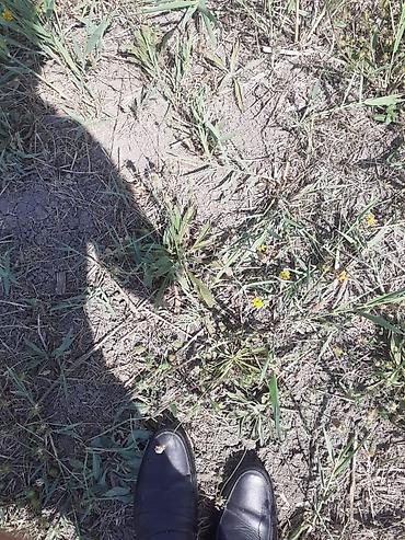 22 sot, Kənd təsərrüfatı, Mülkiyyətçi, Bələdiyyə lalafo.az -da 22 sot, Kənd təsərrüfatı, Mülkiyyətçi, Bələdiyyə