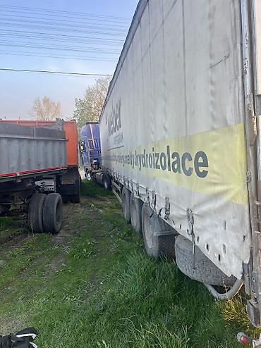 Тягачи: Тягач, DAF, 2003 г., Шторный — 7