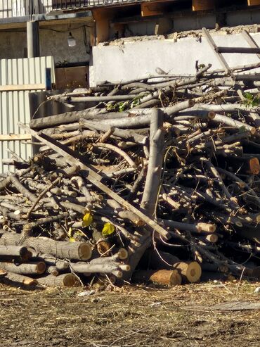 дрова кол: Дрова