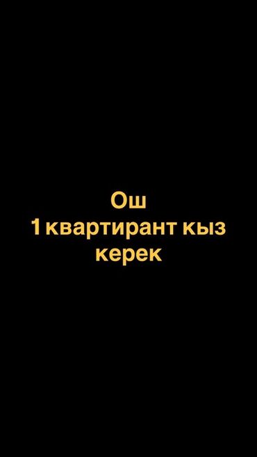 квартира на сутки в бишкеке: 2 бөлмө, Чогуу жашоо менен