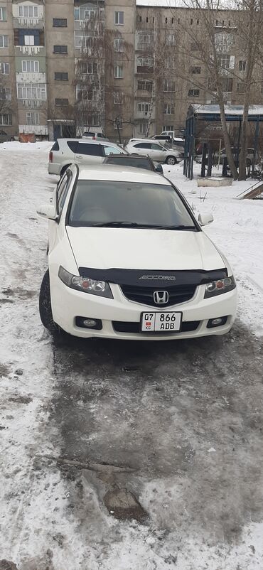 машина спортивный: Honda Accord: 2003 г., 2.4 л, Автомат, Бензин, Универсал