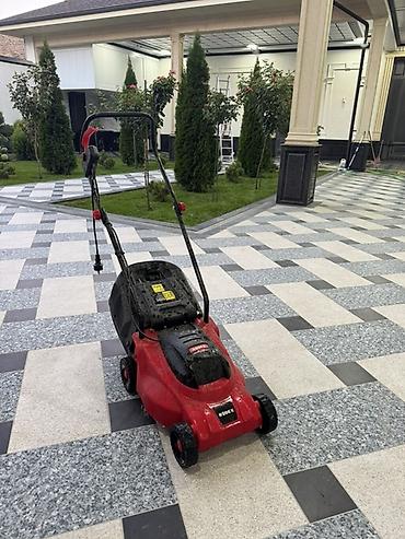 мамыр чоп: Электрическая газонокосилка RODEX (сетевой привод) - Тип — 1