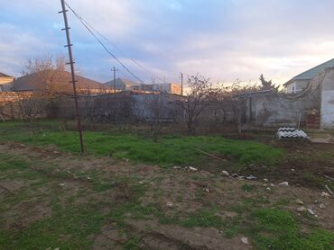 TECILI ELIMYANDI SATILIR. Abseron Rayon Mehdiabad Qesebesinde En