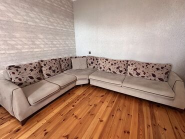 diffenbaxiya bitkisi: Künc divan, Bazasız, Süni dəri