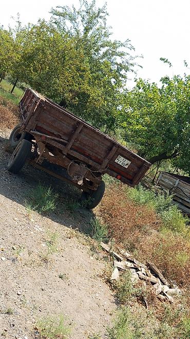 en ucuz traktörler: Kənd təsərrüfatı üçün 2 ədəd ikioxlu qoşqu təklif olunur. Razılaşma — 3