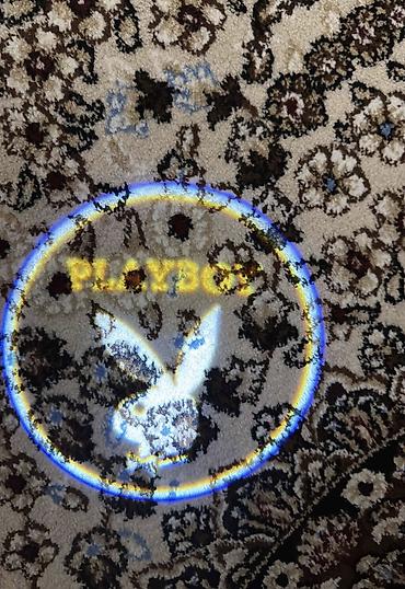 скрытые двери машины: Продают подсветку для двери машины play boy — 2