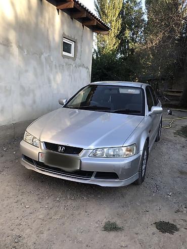 outback wilderness: Honda Accord: 2001 г., 1.8 л, Бензин, Седан — 2