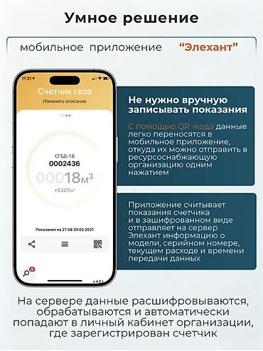 газовые счётчики: Элехант СГБД-1,8 (СГБМ-1,8) — дистанционный счетчик газа с — 6