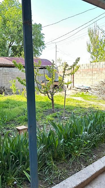 Продажа коттеджей и домов: СРОЧНО ПРОДАЕТСЯ ДОМ район Пишпек, Лущихина Есть хороший торг! — 2