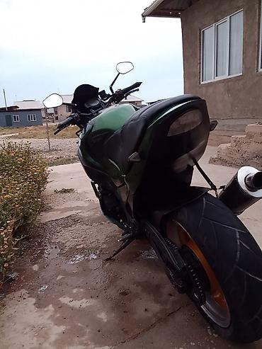 Мотоциклы: Naked Kawasaki, 1200 куб. см, Бензин, Взрослый, Б/у — 4
