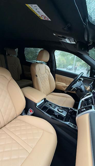 шторки для авто: Kia Sorento: 2020 г., 1.6 л, Автомат, Кроссовер — 7