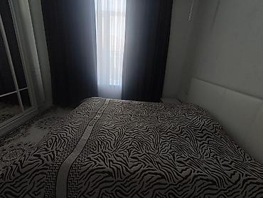 красный книга: 2 комнаты, 77 м², Бишкек, Риэлтор — 4