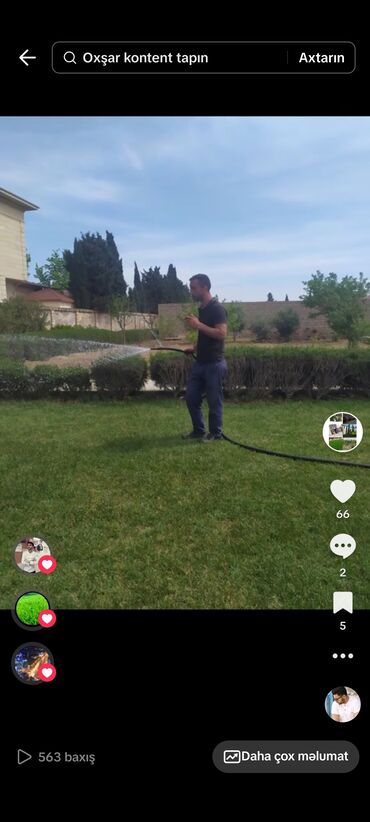 Landşaft işləri: Bütün növ ağcların qazonun güllərin biçilməsi sulaması dərmanlaması — 6