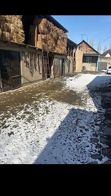 Продажа коттеджей и домов: Продаётся жилой дом с придомовым участком. - Одноэтажный дом из — 9