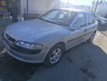 Opel: Opel Vectra: 1998 г., 1.6 л, Механика, Бензин, Седан