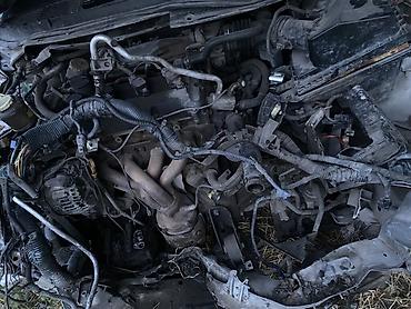 e34 2 5: Nissan Primera: 2003 г., 2 л, Вариатор, Бензин, Хэтчбэк — 3