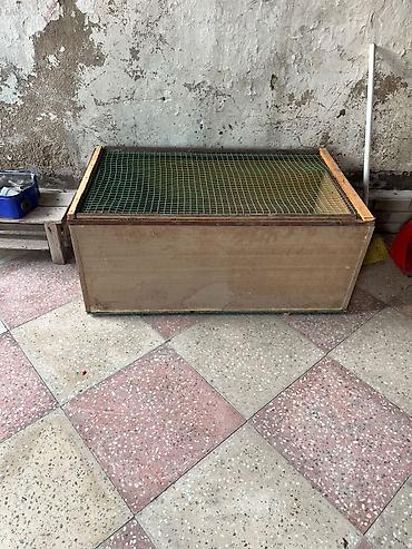 qus adlari: Taxta qəfəs/yeşik – torlu qapaqlı - Material: MDF/kontrplak korpus — 3