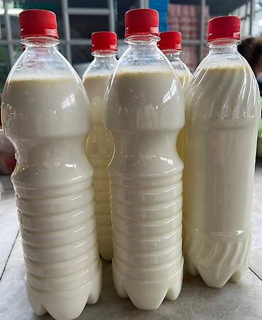 Молочные продукты и яйца: Домашнее молоко, сметана, сары май, кымыз (Бишкек) Описание — 7