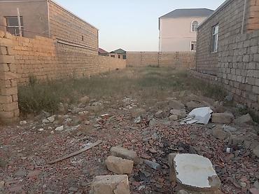 topaq: Tikinti, Bələdiyyə — 1