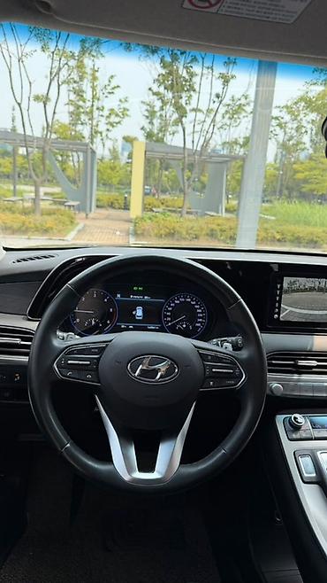 киа селтес: Hyundai Palisade: 2020 г., 2.2 л, Автомат, Дизель, Кроссовер — 9