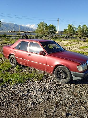 mercedes benz e 250: Mercedes-Benz W124: 1988 г., 2 л, Механика, Дизель, Седан — 2
