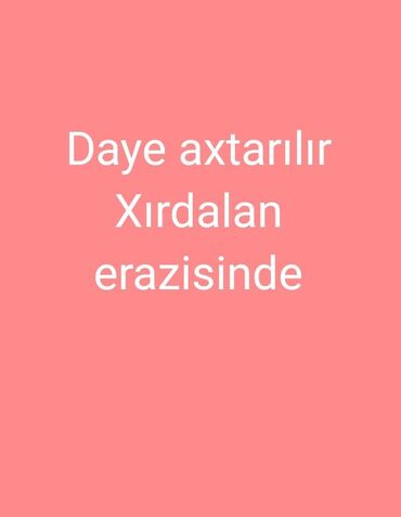 daye xirdalan: Dayə tələb olunur, İstənilən yaş, Növbəli qrafik