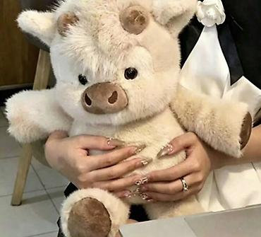Yumşaq oyuncaq – balaca donuz balası dizaynı - Rəng: krem-bej lalafo.az -da Yumşaq oyuncaq – balaca donuz balası dizaynı - Rəng: krem-bej
