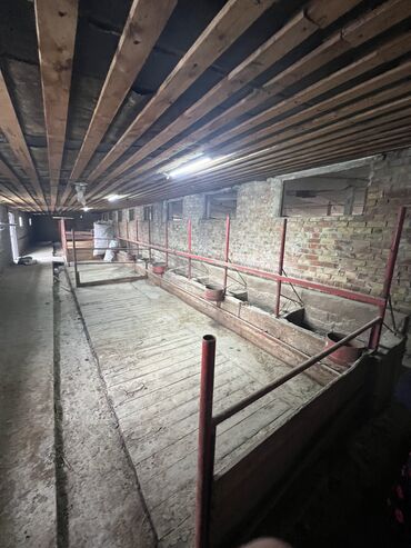 Другая коммерческая недвижимость: Сдаю Конюшню в перспективном районе для содержания лошадей и быков — 4