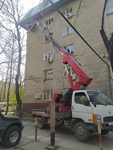 d 4d: Стрела 25 м, 200 т — 6