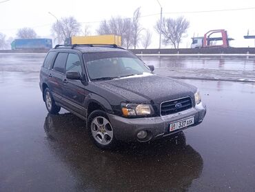 Subaru: Subaru Forester: 2002 г., 2.5 л, Автомат, Бензин, Универсал