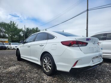 накидки для машины: Hyundai Sonata: 2021 г., 2 л, Автомат, Газ, Седан