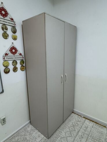 шкаф для одежды и обуви в прихожую: Двухдверный платяной шкаф, лаконичный дизайн. - Цвет