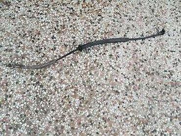 Car Parts: Sajla brave za Alfu 159. Sajla brave za Alfu 159Originalni polovni — 1