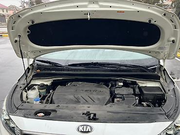 Kia: Kia Carnival: 2019 г., 2 л, Автомат, Дизель, Минивэн — 12