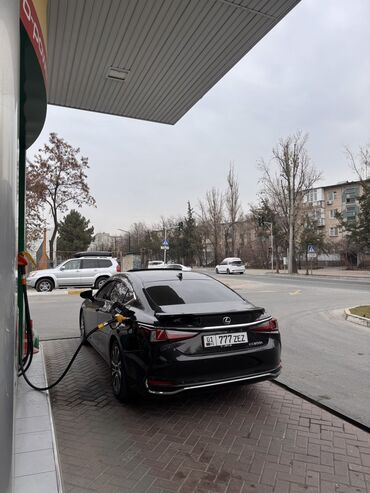 Lexus: Lexus ES: 2021 г., 2.5 л, Автомат, Гибрид, Седан — 13