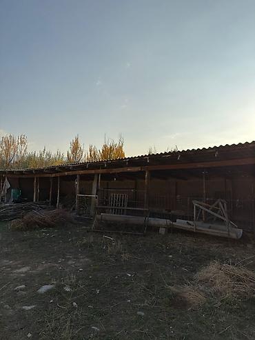 Продажа участков: 170 соток, Для строительства, Договор долевого участия — 21