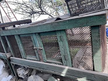 криса: Многоярусный уличный вольер/клетки для кроликов или птицы. - — 2