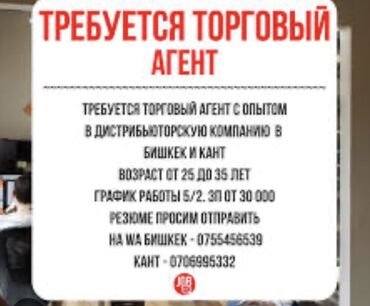 Торговые агенты: Требуется торговый агент с опытом В дистрибьюторскую компанию в