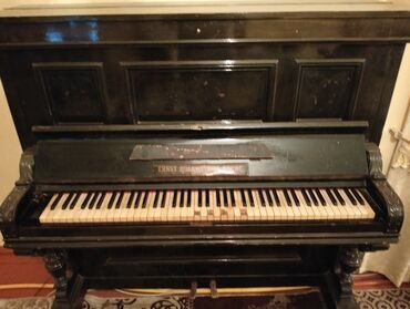 pianino moyka: Pianolar