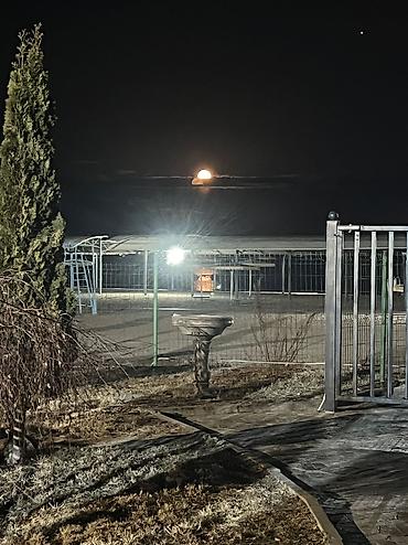 Аренда отелей и хостелов: Гостиница Raduga West на Иссык-Куле Современный отель с эффектной — 12