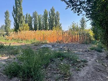 купить дом рядом: Продаётся частный дом с большим участком. 22 содих одно участок - — 4