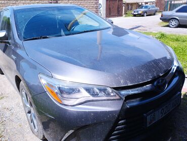тойото кроун: Toyota Camry: 2014 г., 2.5 л, Автомат, Гибрид, Седан