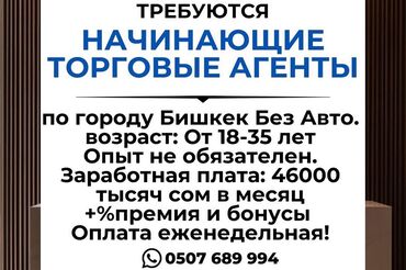 авто маляршик: Требуется Торговый агент, График: Шестидневка, Без опыта, Карьерный рост, Полный рабочий день