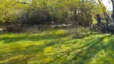 Torpaq sahələrinin satışı: 85 sot, Kənd təsərrüfatı, Mülkiyyətçi, Kupça (Çıxarış) -da lalafo.az — 11 Torpaq sahələrinin satışı: 85 sot, Kənd təsərrüfatı, Mülkiyyətçi, Kupça (Çıxarış) — 11